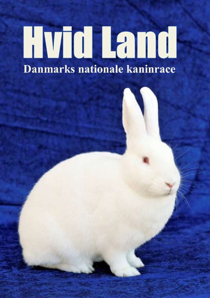 Historien om Hvid Land, Danmarks Nationale Kaninrace, er skrevet af Tine Kortenbach og udgivet i samarbejde med Danmarks Kaninavlerforening med støtte fra Miljø- og Fødevareministeriets udvalg for bevaringsværdige husdyr. (Foto: Tine Kortenbach)
